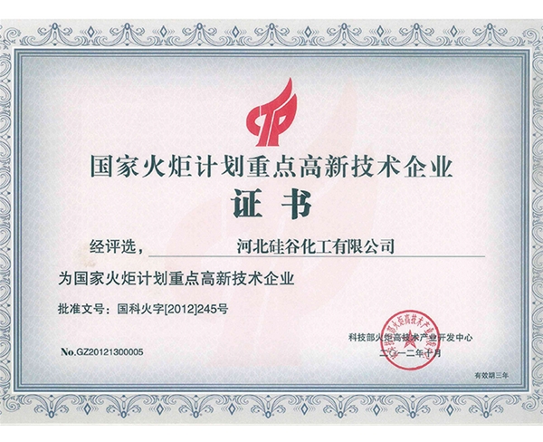 國家火炬計劃重點(diǎn)高新技術(shù)企業(yè)